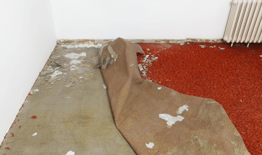 Carpet Removal